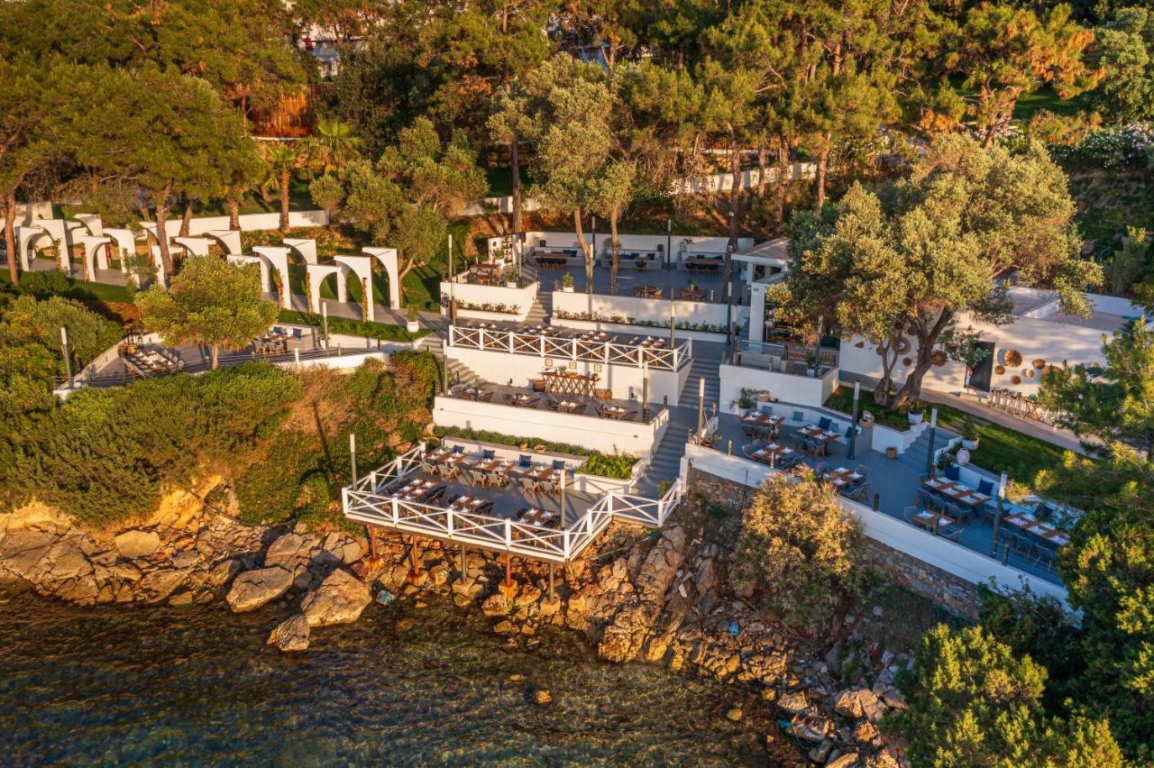 Rixos Premium Bodrum Курортный комплекс Торба